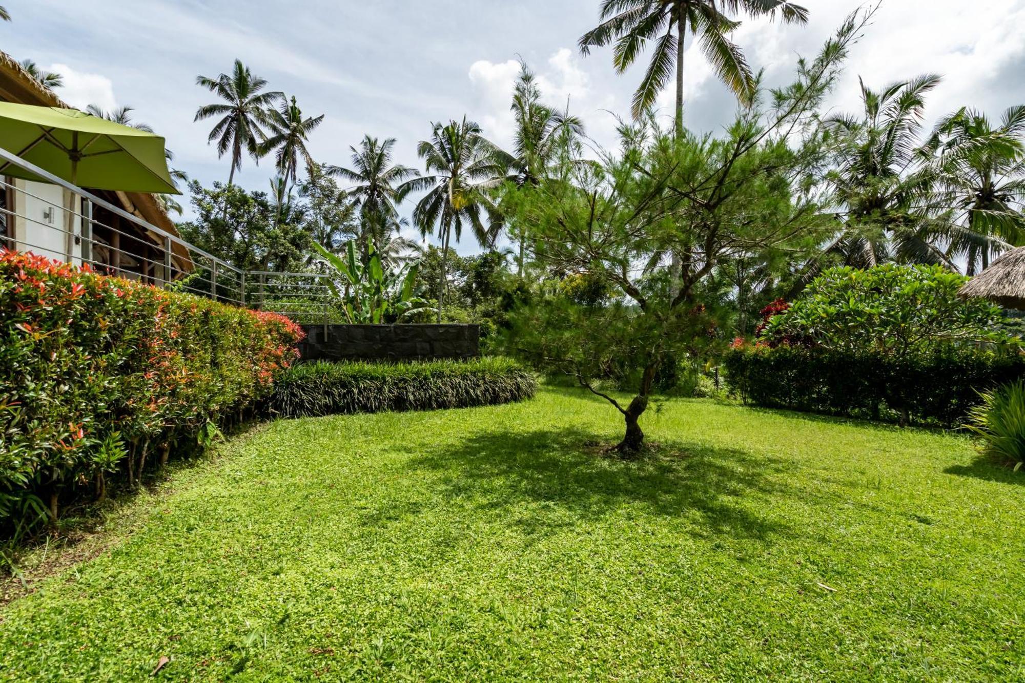 Villa Themma Jungle - Sumptuous 3Br Luxury Villa With Majestic Jungle View North Of Ubud المظهر الخارجي الصورة