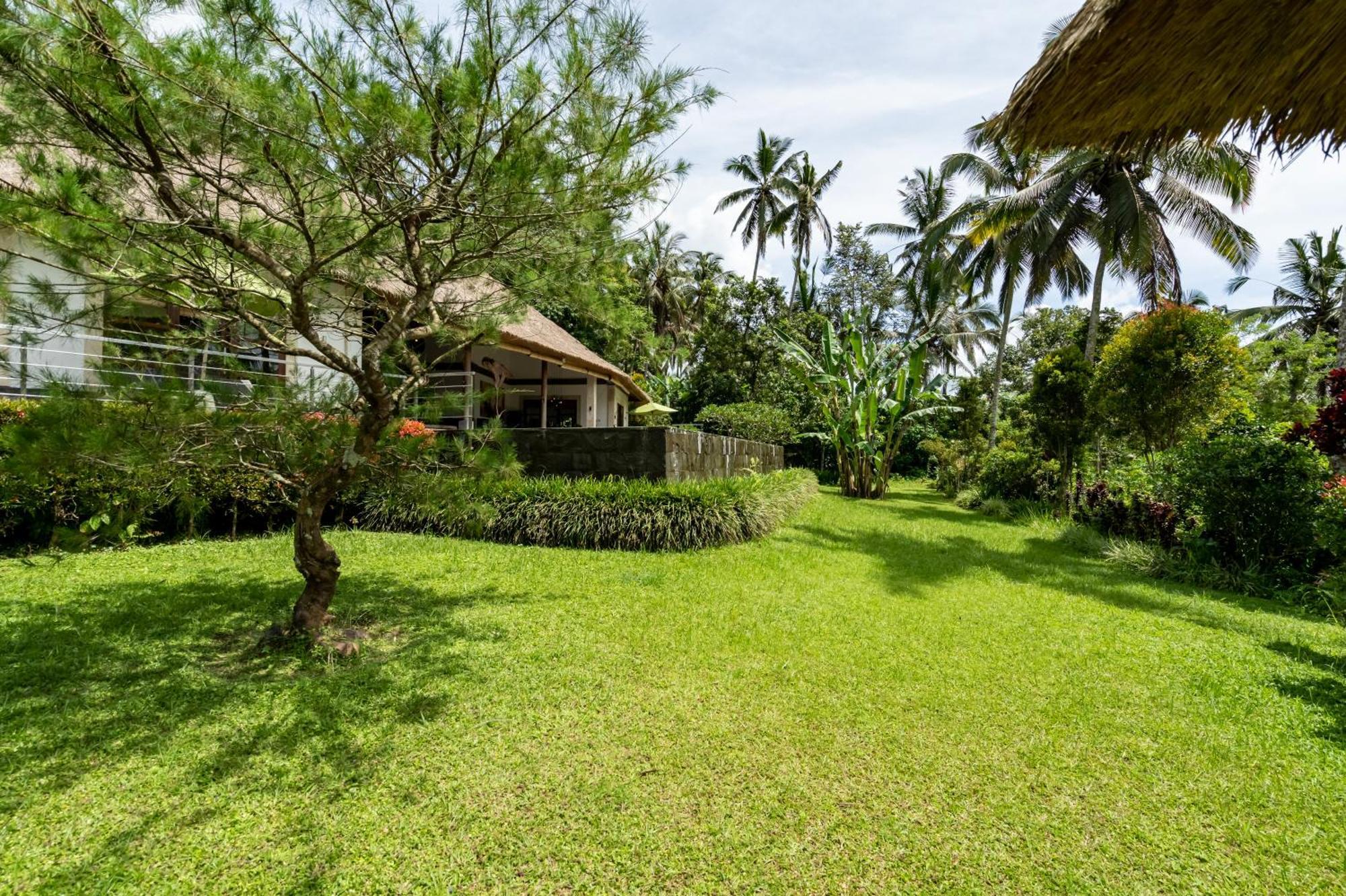 Villa Themma Jungle - Sumptuous 3Br Luxury Villa With Majestic Jungle View North Of Ubud المظهر الخارجي الصورة