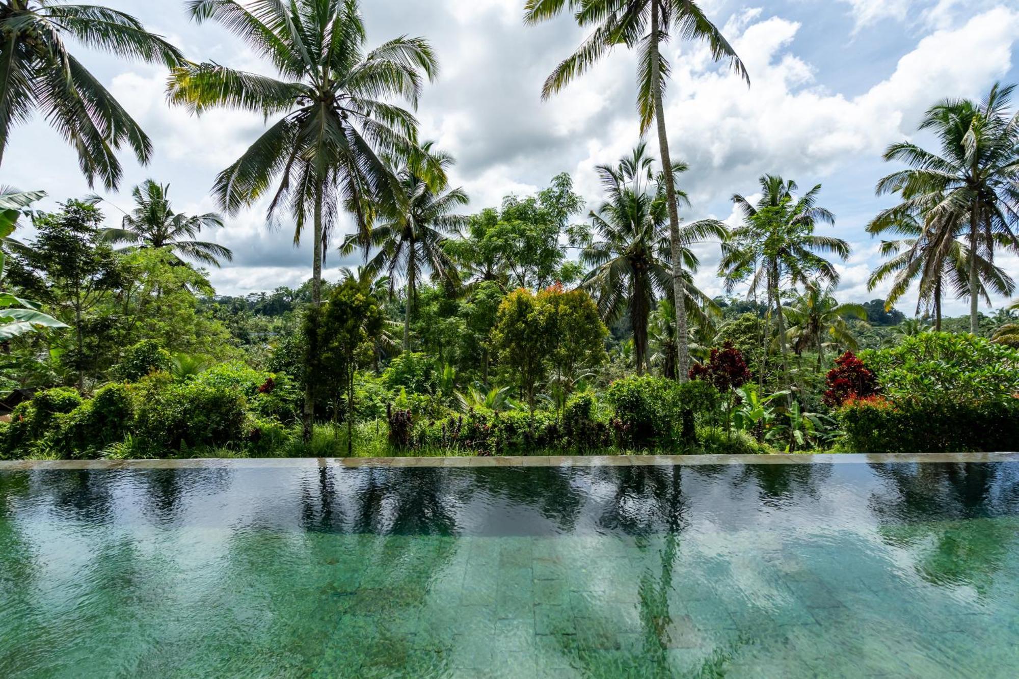 Villa Themma Jungle - Sumptuous 3Br Luxury Villa With Majestic Jungle View North Of Ubud المظهر الخارجي الصورة