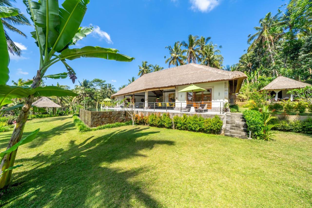 Villa Themma Jungle - Sumptuous 3Br Luxury Villa With Majestic Jungle View North Of Ubud المظهر الخارجي الصورة